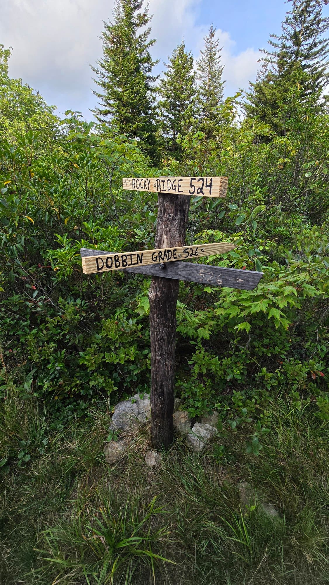 A wooden trail signpost on an open plateau in evening light